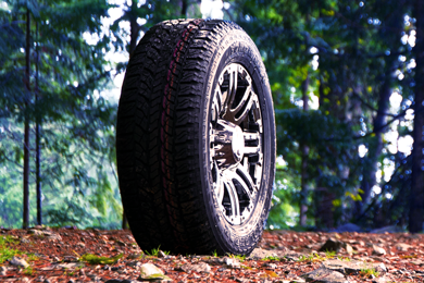 achat de pneus d'été - Utiliser cette évaluation